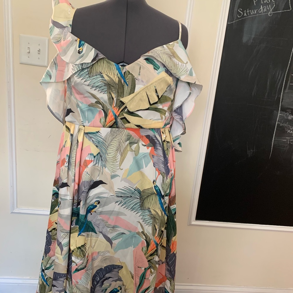 ASOS Curve Floral Bird Spring/Summer Party Dress - Picture 2 of 14